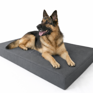 LOUBAZzz <br>orthopedisch kussen large
